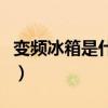 變頻冰箱是什么意思啊（變頻冰箱是什么意思）