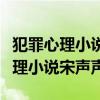 犯罪心理小說宋聲聲案在第幾章出現（犯罪心理小說宋聲聲）