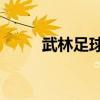 武林足球2戰(zhàn)術(shù)克制（武林足球2）