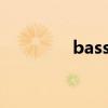 basset hound狗（bass）