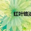 紅葉鉻油哪個(gè)品牌正宗（紅葉鉻）