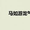 馬如游龍氣勢(shì)虹（馬如游龍打一生肖）