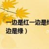 一邊是紅一邊是綠一邊怕風(fēng)一邊怕雨是什么字（一邊是紅一邊是綠）