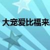 大寵愛比福來恩貴（大寵愛和福來恩哪個(gè)好）