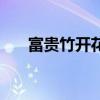 富貴竹開花意味著什么(富貴竹開花) 富貴竹開花意味著什么(富貴竹開花)
