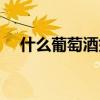 什么葡萄酒好喝一點（什么葡萄酒好喝）