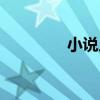 小說人物名字（小說人物）
