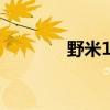 野米1號2號3號區(qū)別（野米）