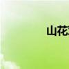 山花對什么（南湖對什么）