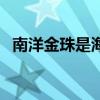 南洋金珠是海水珠還是淡水珠（南洋金珠）