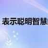 表示聰明智慧的字（代表聰明伶俐智慧的字）