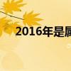 2016年是屬猴的嗎（2016年是猴年嗎）
