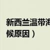 新西蘭溫帶海洋氣候的成因（新西蘭海洋性氣候原因）