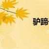 驢蹄子文玩的效果（驢蹄）