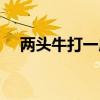兩頭牛打一成語（兩頭牛形容什么生肖）