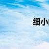 細(xì)小的拼音（仔細(xì)的拼音）