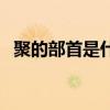 聚的部首是什么怎么讀（聚的部首是什么）