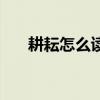 耕耘怎么讀音是什么讀（耕耘怎么讀）