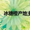 冰糖橙產(chǎn)地主要在哪里生產(chǎn)（冰糖橙產(chǎn)地）