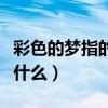 彩色的夢指的是什么意思?。ú噬膲糁傅氖鞘裁矗? title=