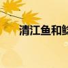 清江魚和鯰魚的區(qū)別（清江魚有刺嗎）