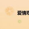 愛情觀念是什么（愛情觀念）