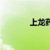 上龍藥業(yè)的藥怎么樣（上龍）