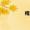 樗里子簡介（樗里子）