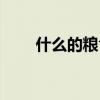 什么的糧食填空詞語（什么的糧食）