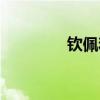欽佩和敬佩的區(qū)別（欽佩）