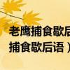 老鷹捕食歇后語下雨天不戴帽子歇后語（老鷹捕食歇后語）