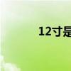 12寸是多少厘米 長(zhǎng)寬（12寸）