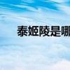 泰姬陵是哪兒的?（泰姬陵在哪個(gè)城市）