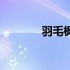 羽毛楓種植與養(yǎng)護（羽毛楓）