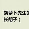 胡蘿卜先生的長(zhǎng)胡子好詞好句（胡蘿卜先生的長(zhǎng)胡子）