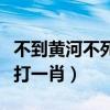 不到黃河不死心是什么生肖（不到黃河心不死打一肖）
