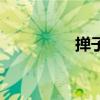 撣子怎么讀（撣怎么讀）
