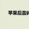 蘋(píng)果后蓋碎了有必要換嗎（蘋(píng)果后蓋）