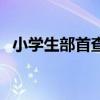 小學(xué)生部首查字法口訣(音序查字法口訣) 小學(xué)生部首查字法口訣(音序查字法口訣)
