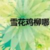 雪花雞柳哪個(gè)牌子的質(zhì)量好（雪花雞柳）