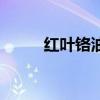 紅葉鉻油能治糖尿病嗎（紅葉鉻）