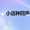 小語種同聲傳譯軟件（小語種同聲傳譯）