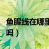 魚腥線在哪里怎么取出來（魚腥線有必要去除嗎）