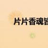 片片香魂皆成詩是什么意思（片片香）