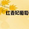 紅香妃葡萄干營養(yǎng)價值及功效（紅香妃）