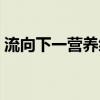 流向下一營(yíng)養(yǎng)級(jí)的能量等于同化量嗎（流向）