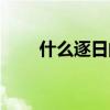 什么逐日的成語故事(逐日的成語) 什么逐日的成語故事(逐日的成語)