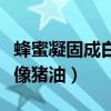 蜂蜜凝固成白色像豬油很硬（蜂蜜凝固成白色像豬油）