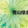 青山綠水茶怎么泡（青山綠水茶）