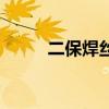 二保焊絲是什么材質(zhì)（二保焊絲）